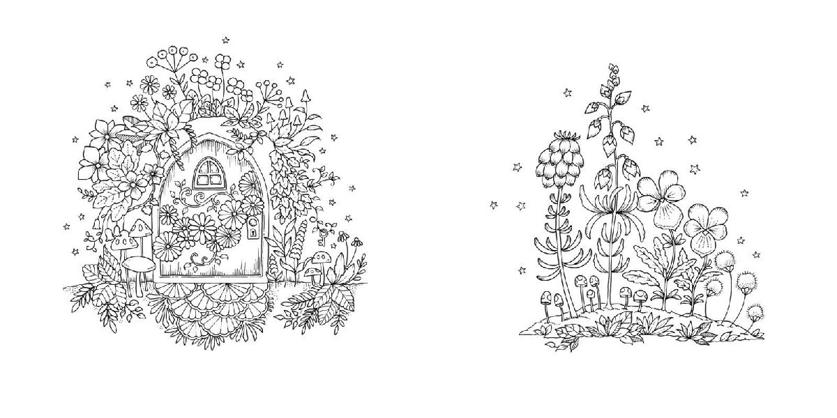 Produktbild: Wundervolle Wildblumen
