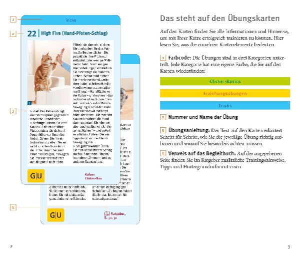 Produktbild: Katzen-Clicker-Box