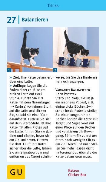 Produktbild: Katzen-Clicker-Box