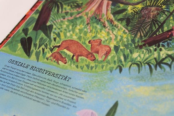 Produktbild: EVOLUTION. Von der Entstehung des Lebens bis heute