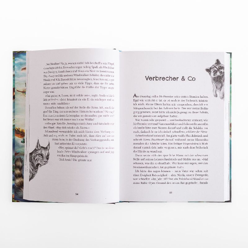 Produktbild: Windwalkers (2). Helden der Lüfte
