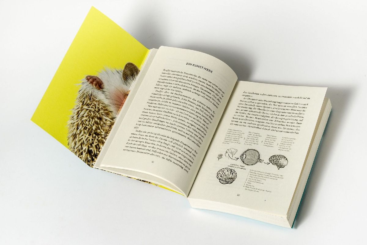 Produktbild: Wie man höflich f**k you sagt