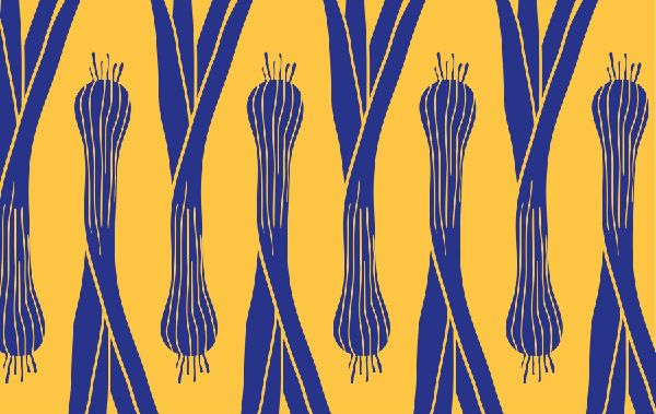 Produktbild: Schnell mal vegan