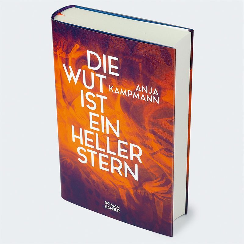 Produktbild: Die Wut ist ein heller Stern