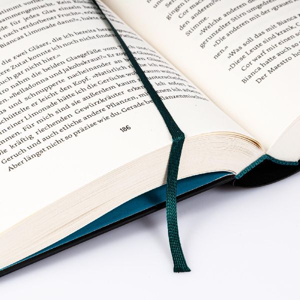 Produktbild: Stadt der Sänger und Verschwörer (Stadt der Magier 2)