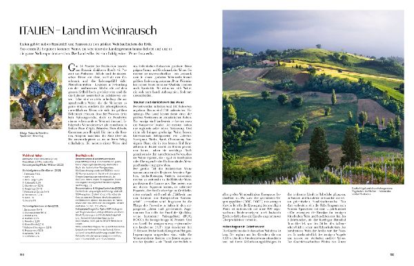 Produktbild: Wein - Die große Schule