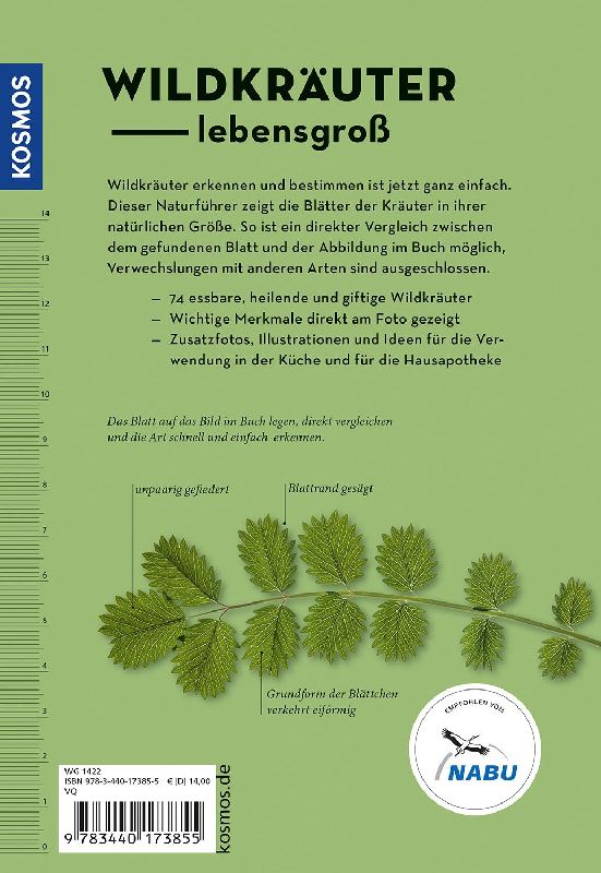 Produktbild: Wildkräuter am Blatt erkennen