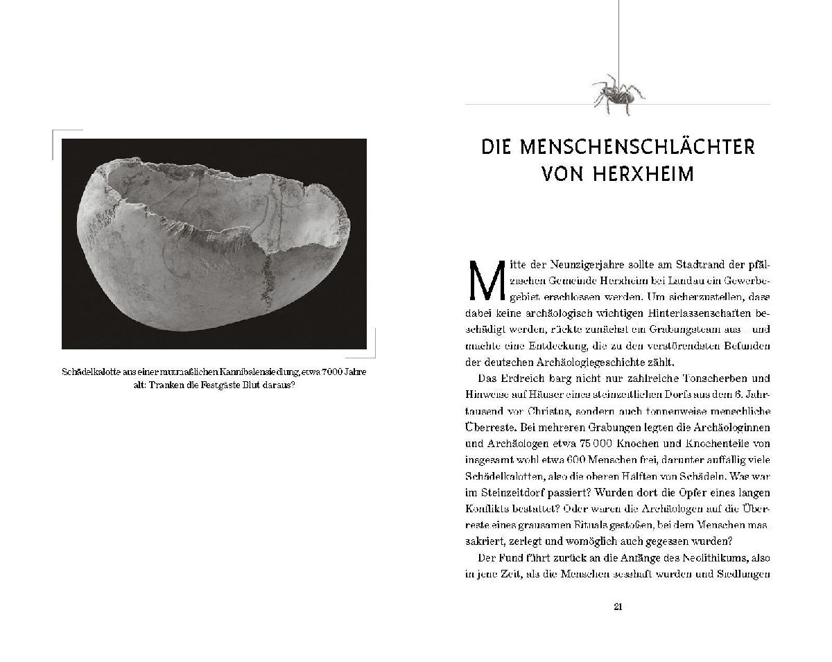 Produktbild: Düstere Geheimnisse