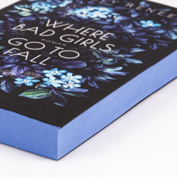 Produktbild: Where Bad Girls go to Fall (Good Girls 2)