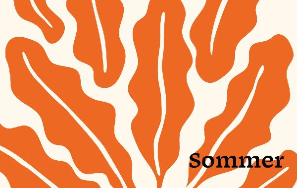 Produktbild: Schnell mal vegan