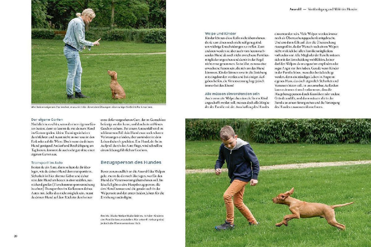 Produktbild: Welpentraining mit Martin Rütter