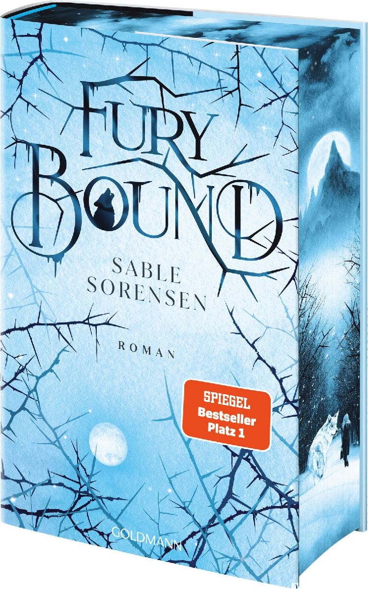Produktbild: Fury Bound