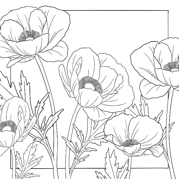 Produktbild: Colorful World - Blütentanz