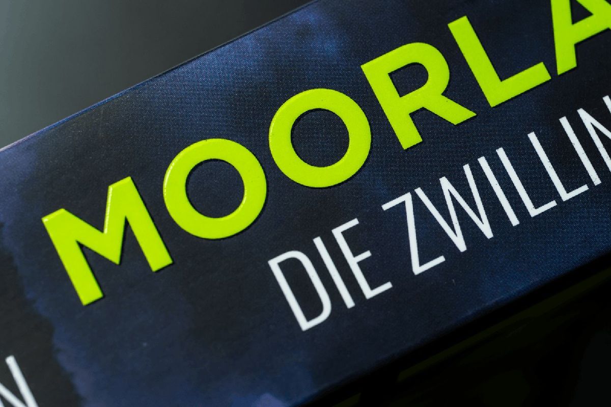 Produktbild: Moorland. Die Zwillinge