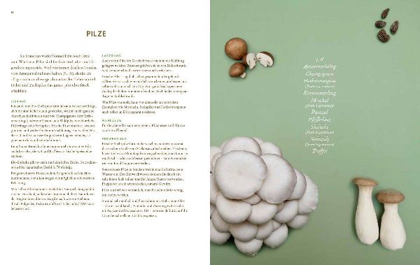 Produktbild: Immer wieder vegan