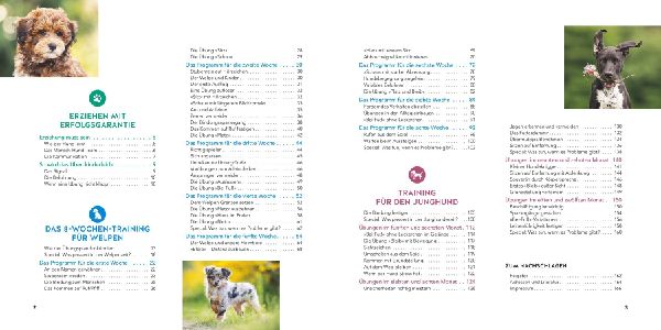 Produktbild: Welpen-Erziehung