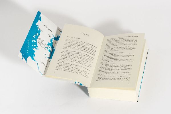 Produktbild: Nordlicht - Das fremde Gesicht