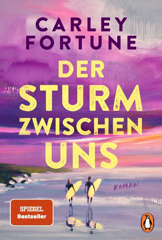 Produktbild: Der Sturm zwischen uns
