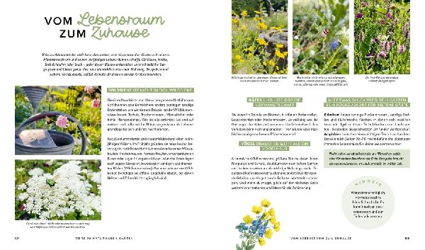 Produktbild: Mein wilder, bunter Garten - Einfach naturnah gärtnern