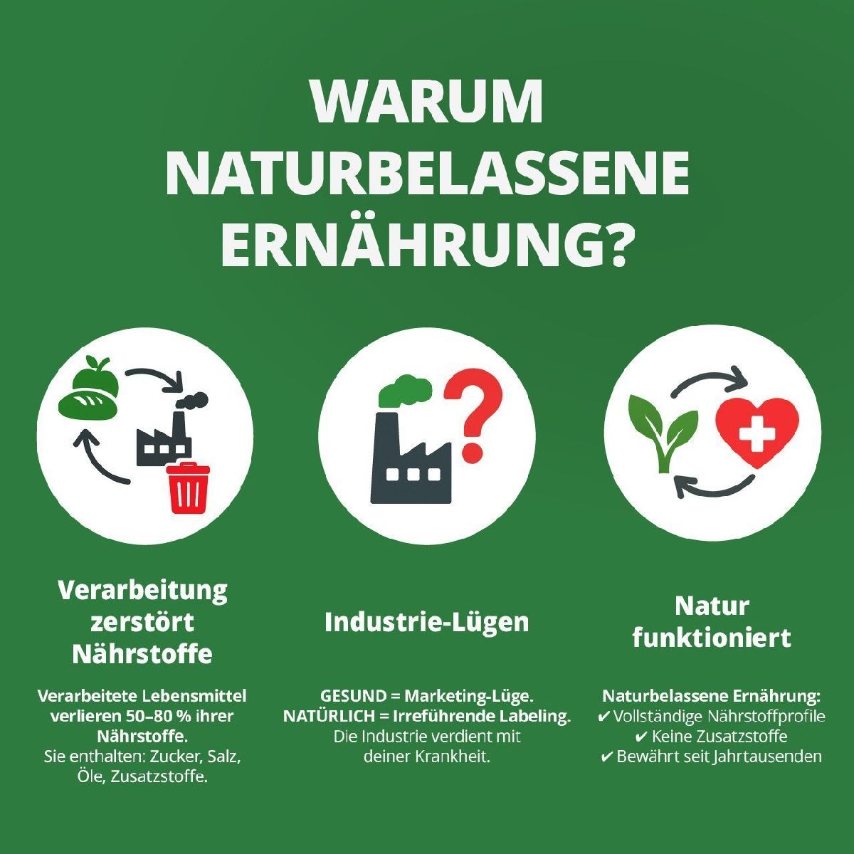 Produktbild: Die Krankheitslügen - Was man macht, um nicht krank zu werden.