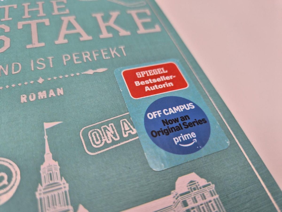 Produktbild: The Mistake - Niemand ist perfekt