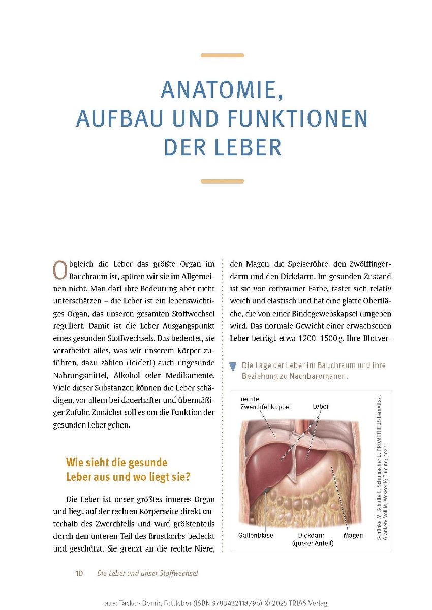 Produktbild: Expertenwissen: Fettleber