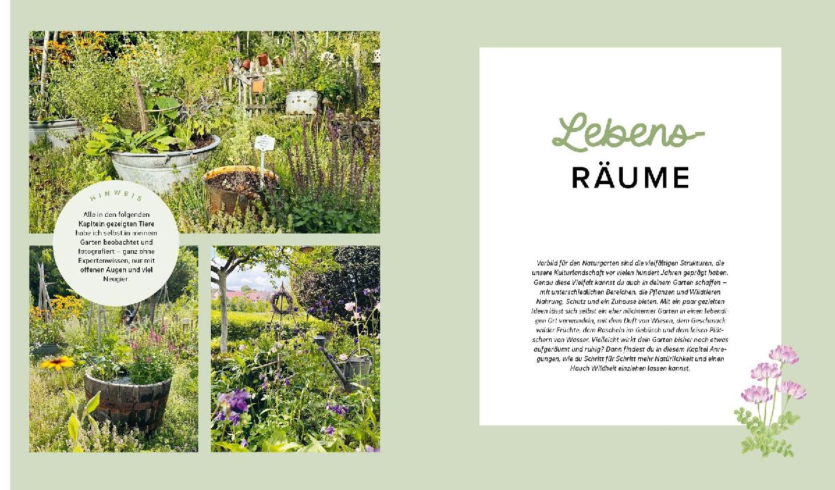 Produktbild: Mein wilder, bunter Garten - Einfach naturnah gärtnern