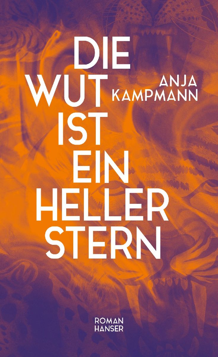 Produktbild: Die Wut ist ein heller Stern