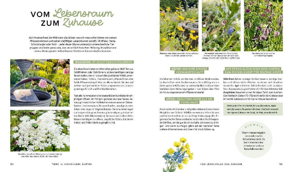 Produktbild: Mein wilder, bunter Garten - Einfach naturnah gärtnern