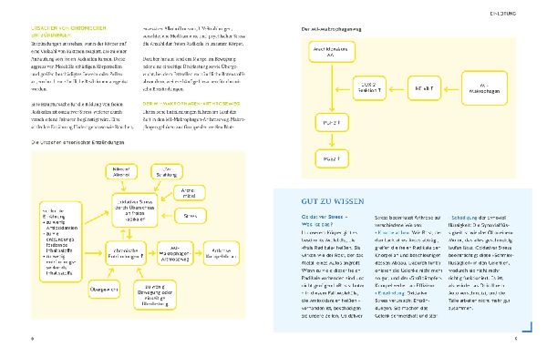 Produktbild: Arthrose endlich heilen