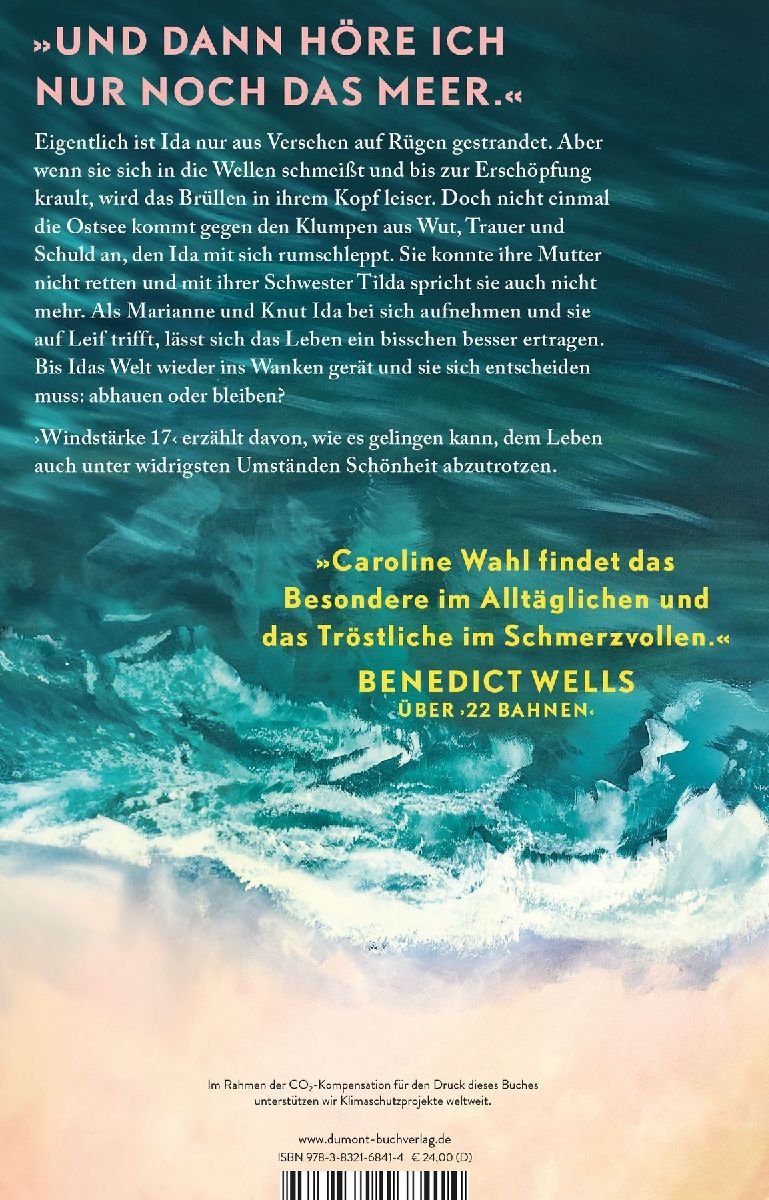 Produktbild: Windstärke 17