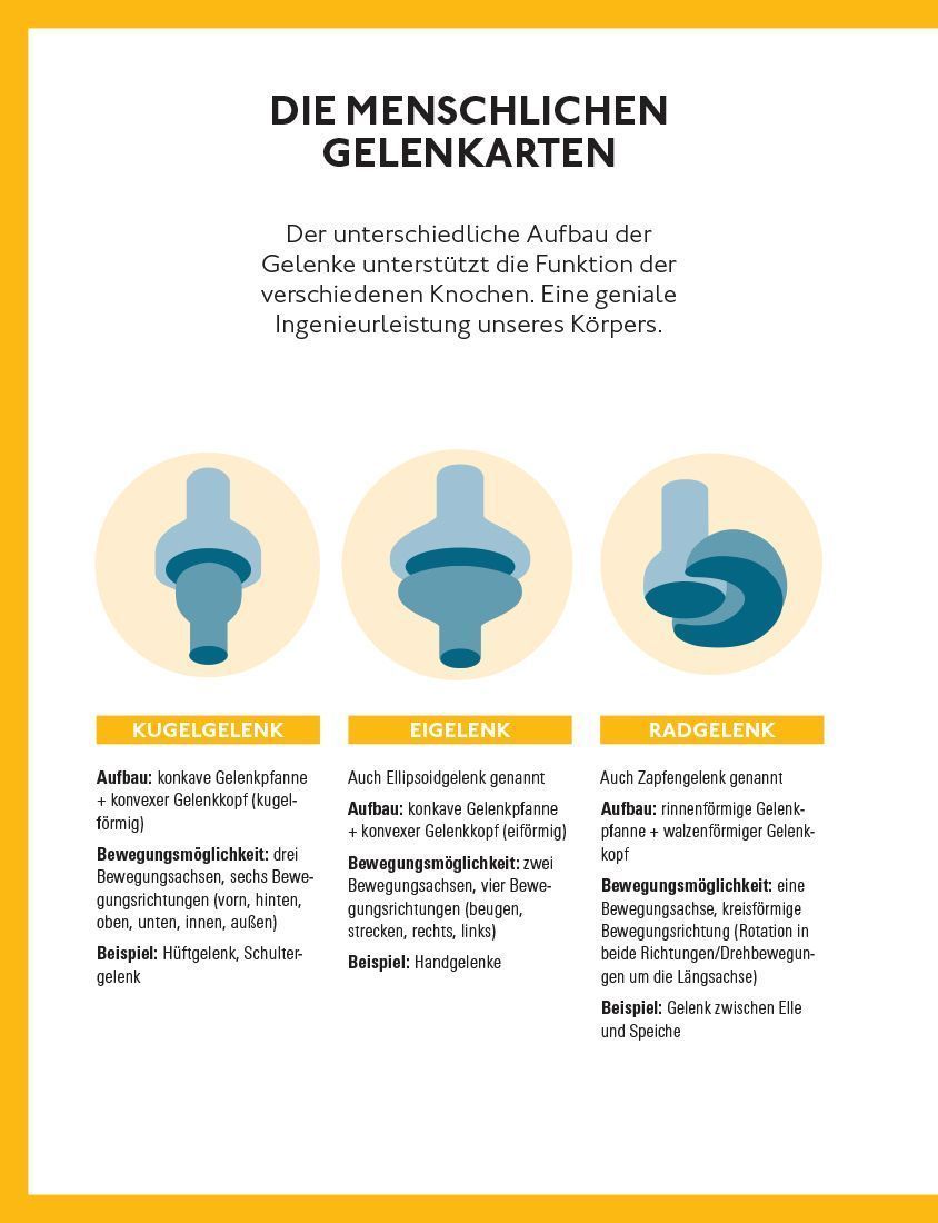 Produktbild: Fitte und starke Gelenke