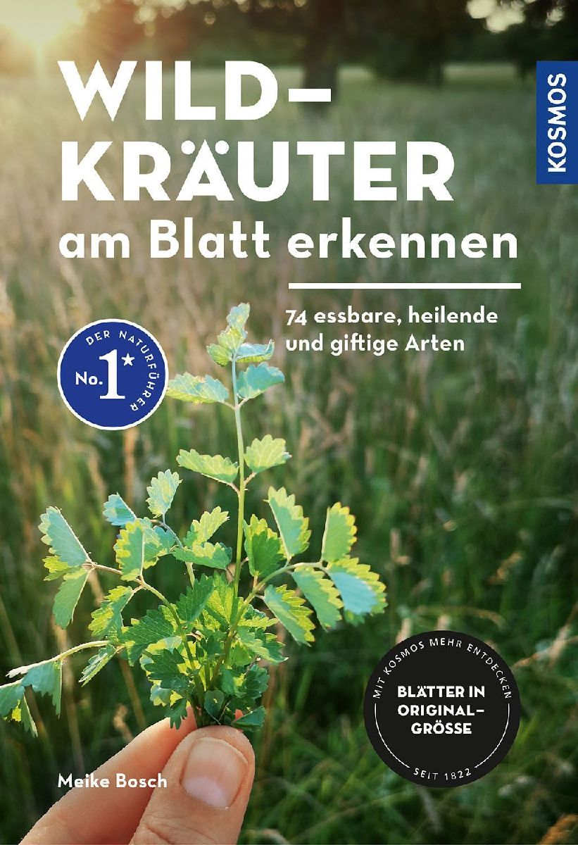 Produktbild: Wildkräuter am Blatt erkennen