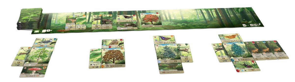 Produktbild: Mischwald
