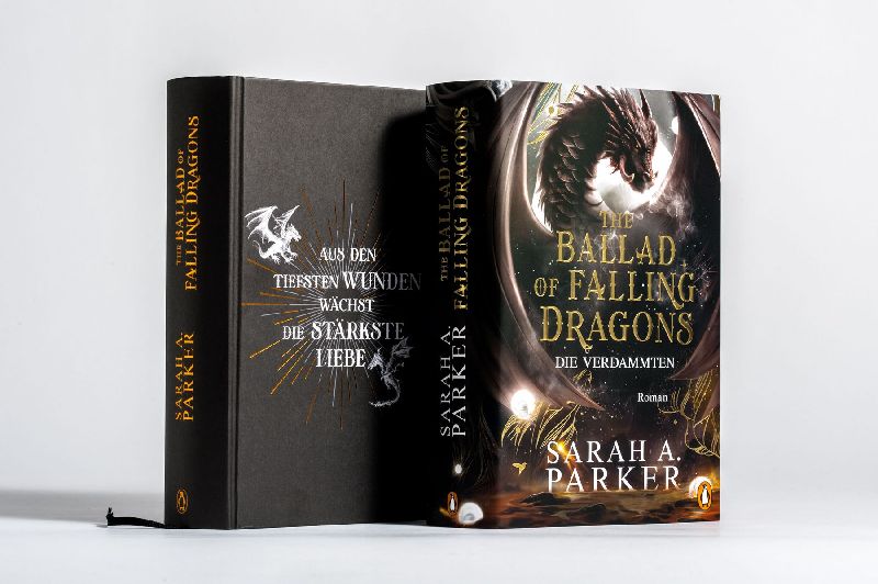 Produktbild: The Ballad of Falling Dragons