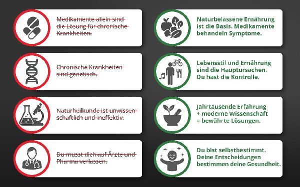 Produktbild: Die Krankheitslügen - Was man macht, um nicht krank zu werden.