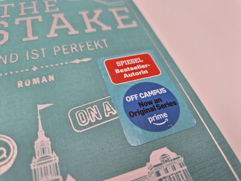 Produktbild: The Mistake - Niemand ist perfekt