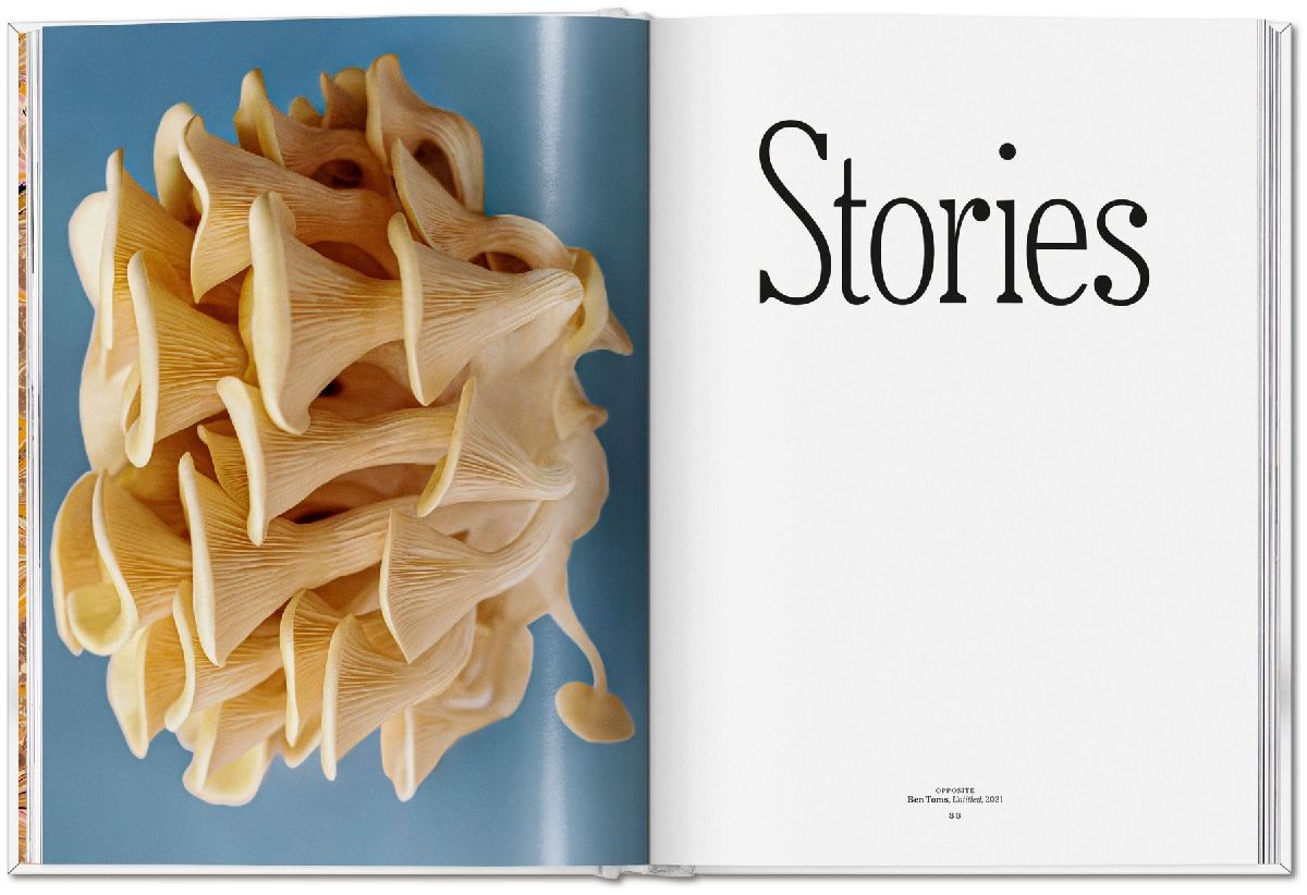 Produktbild: The Gourmand's Mushroom