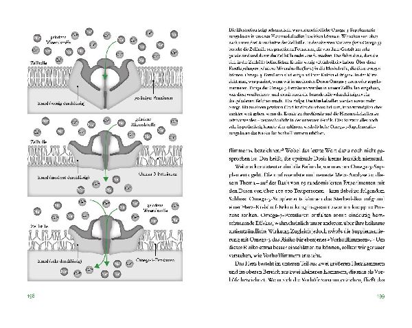 Produktbild: Der Vitamin- und Nährstoffkompass