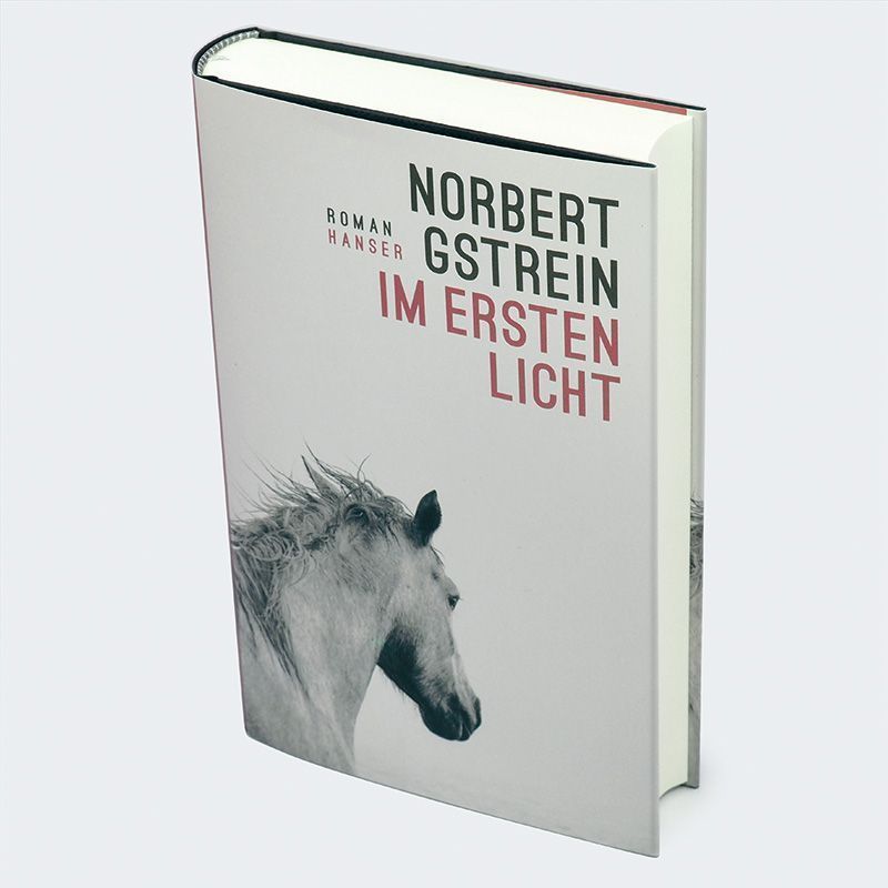 Produktbild: Im ersten Licht