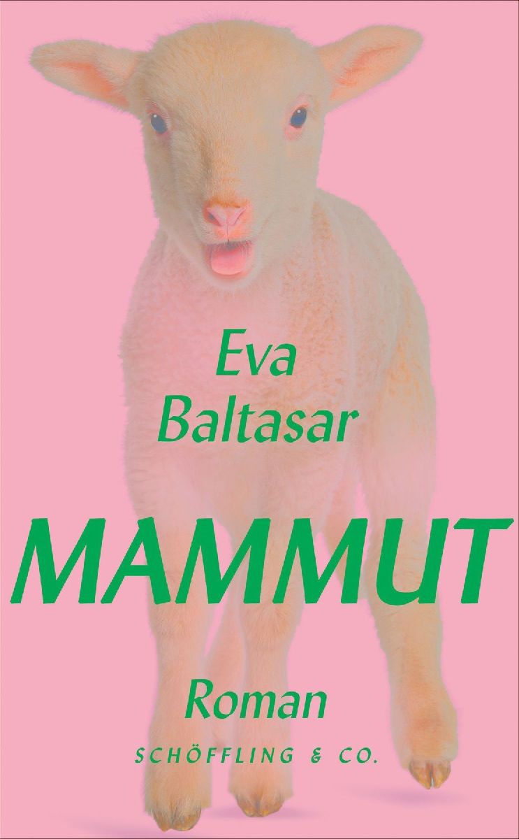 Produktbild: Mammut