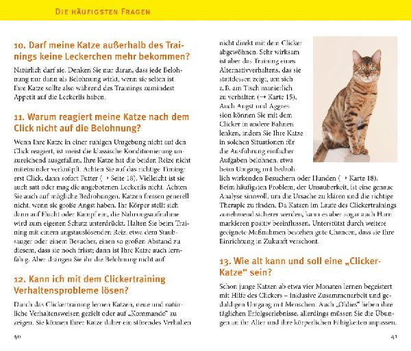 Produktbild: Katzen-Clicker-Box