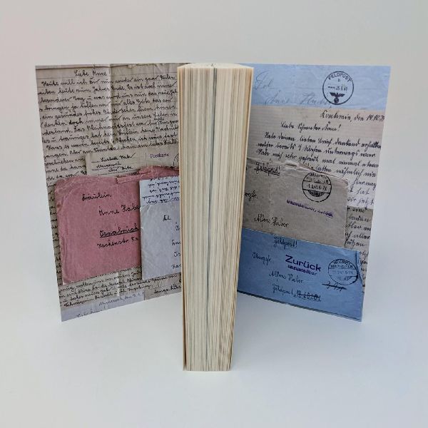 Produktbild: Aenne und ihre Brüder