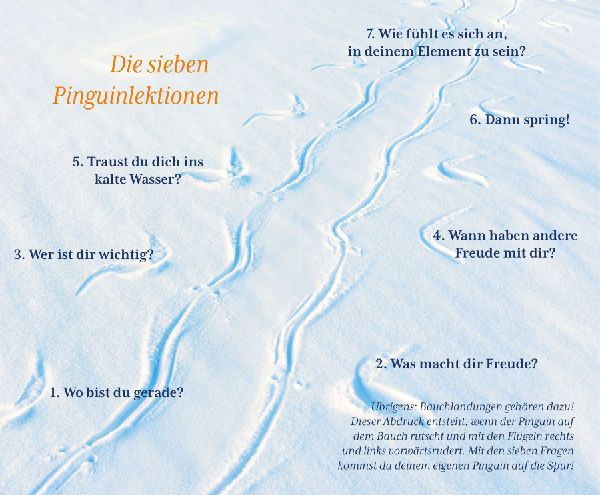Produktbild: Der Pinguin, der fliegen lernte