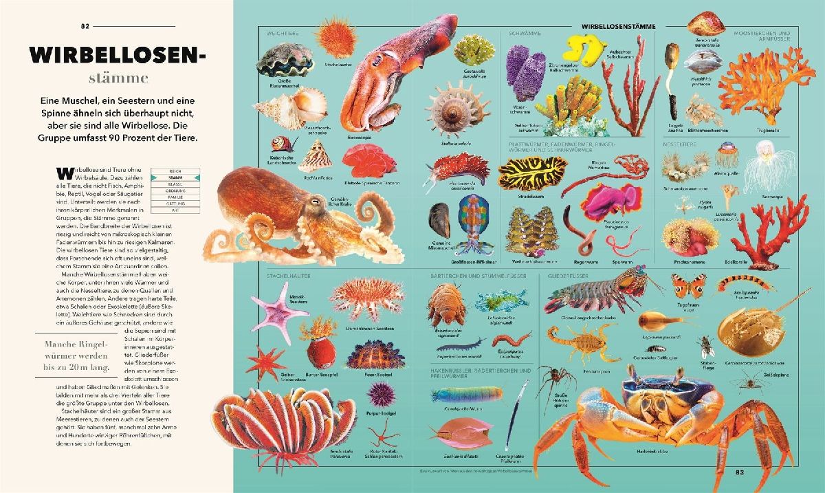 Produktbild: Universum des Wissens