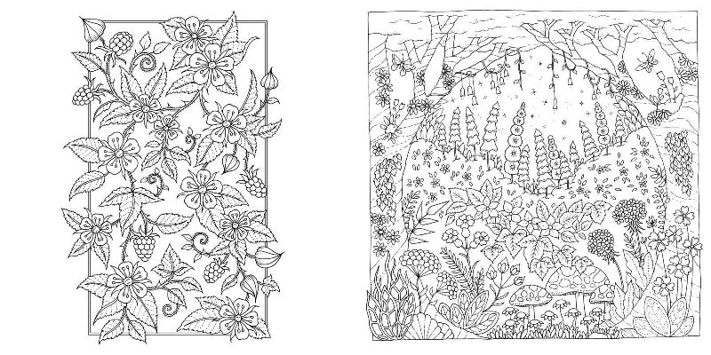 Produktbild: Wundervolle Wildblumen