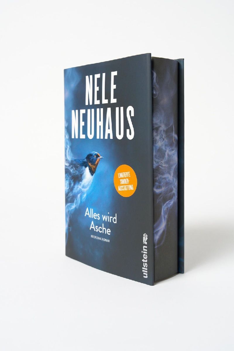 Produktbild: Alles wird Asche