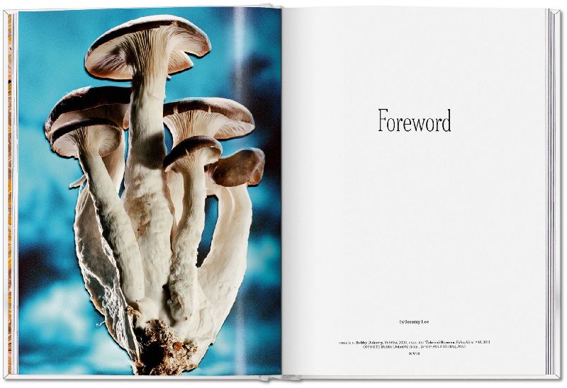 Produktbild: The Gourmand's Mushroom