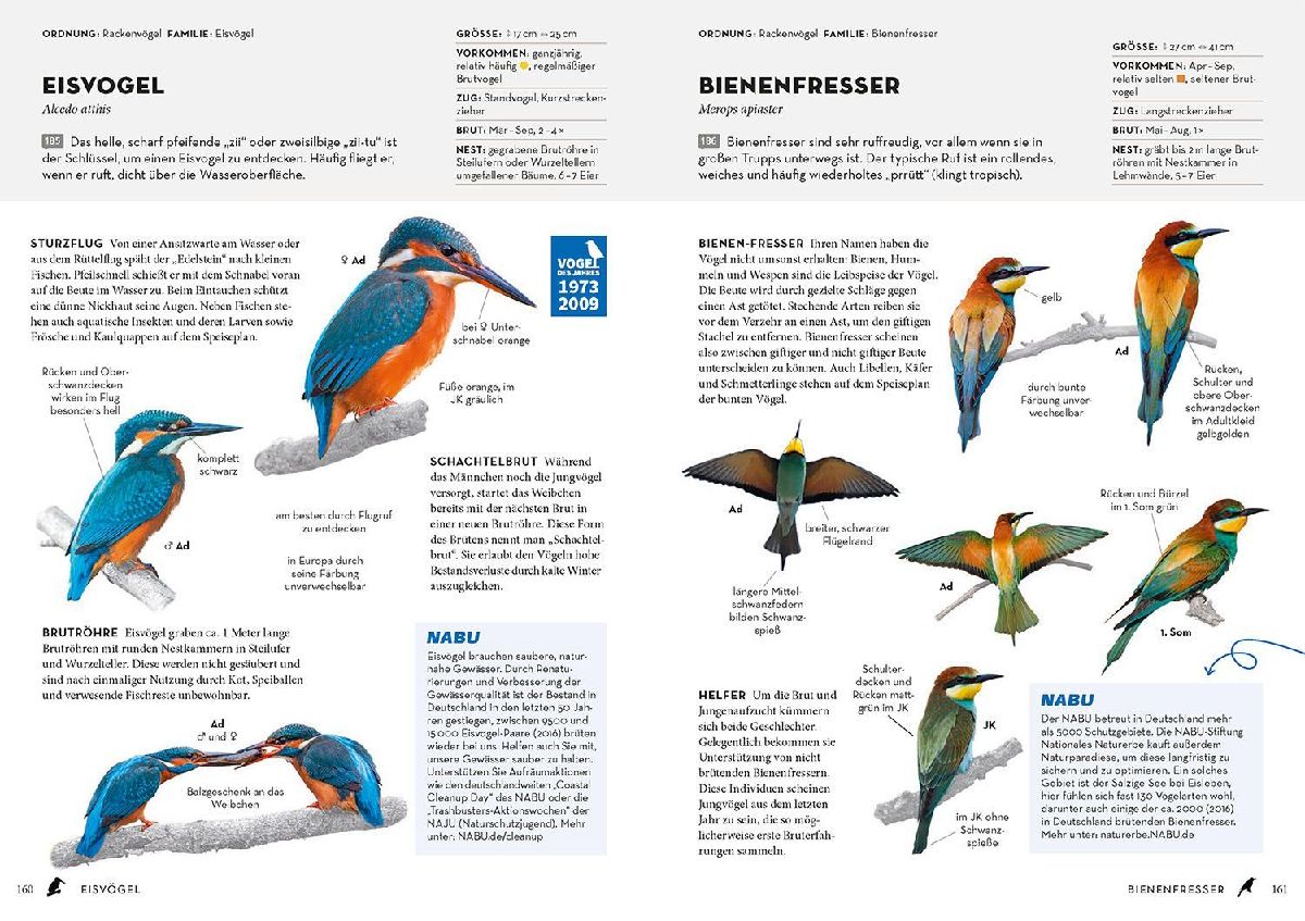 Produktbild: Das NABU-Vogelbuch