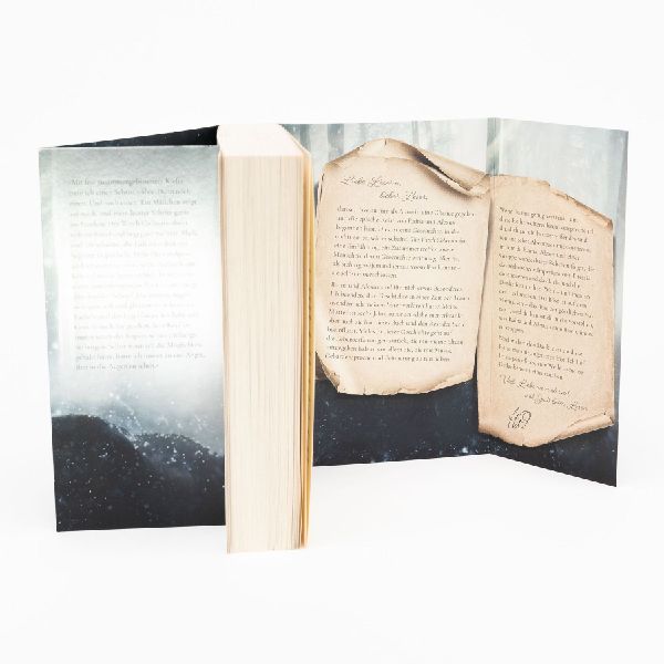 Produktbild: The Witch Collector